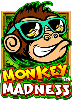 สูตรเล่นเกม bingohammer slot อย่างไรให้ชนะ